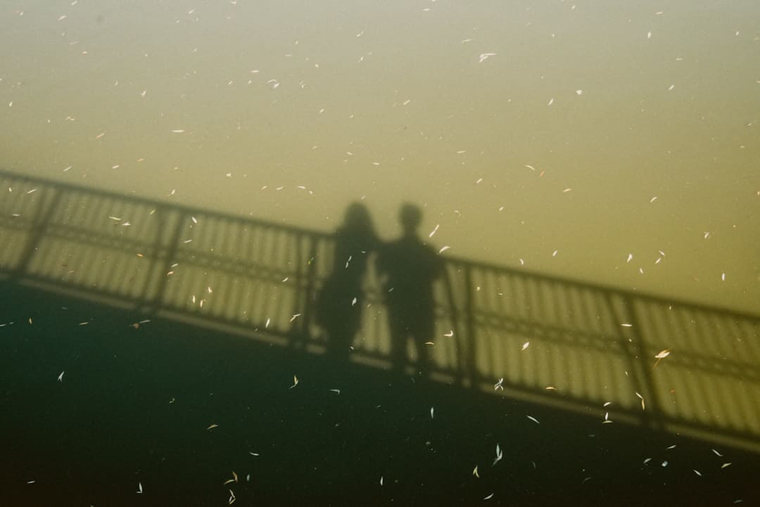 股票交易的根本流程